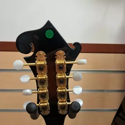 Denver F style mandolin 2
